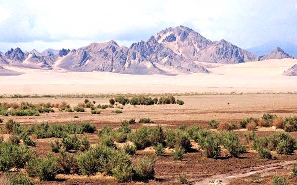 柴達木盆地石油