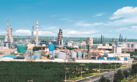 山東華星石油化工集團有限公司